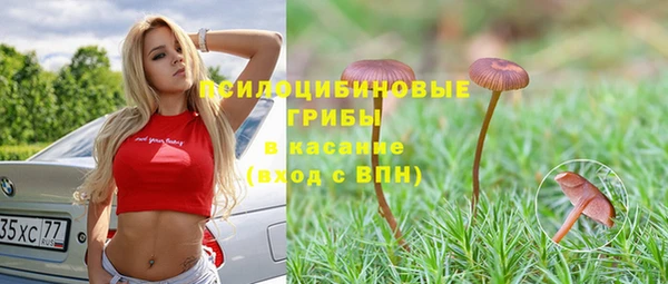 не бодяженный Карпинск